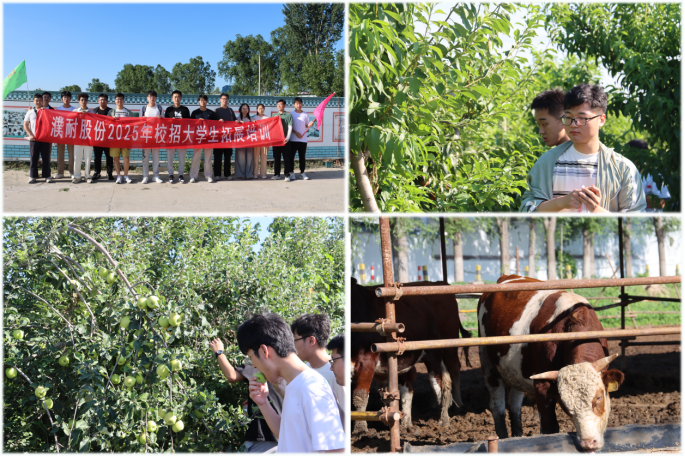 1752729263706894.png 1752729263706894.png