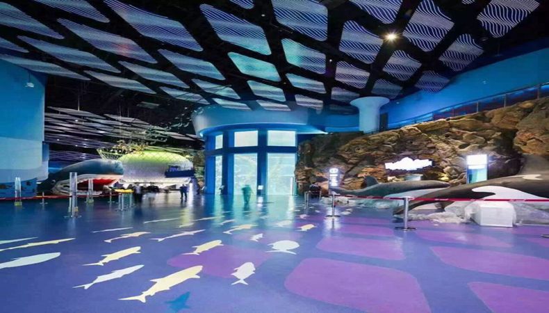 ggpoker����-�й��ٷ���վ,�¹�Ч��������